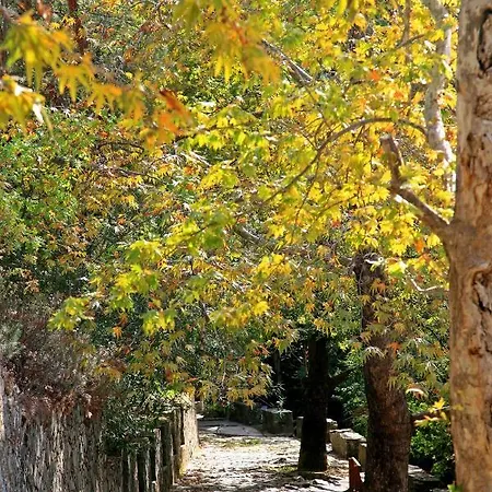 Giannoullas Luxury2bedroom House In