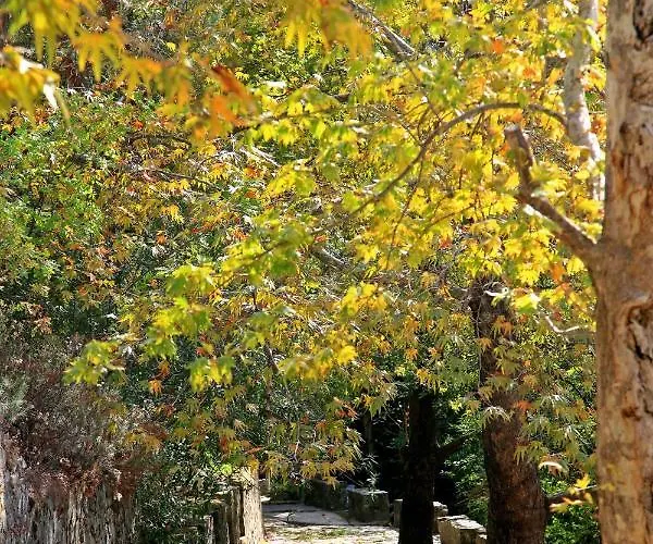 Giannoullas Luxury2bedroom House In